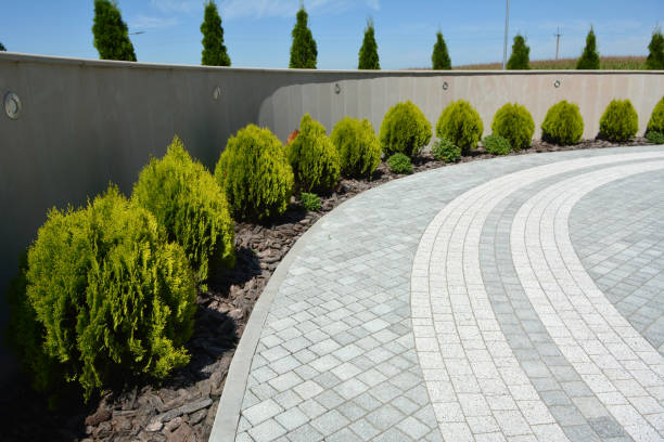 Best Driveway Repair Near Me  in Marengo, IL
